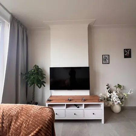 Apartment Cozy Feels, Vibes *